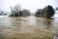 web_8_february_2004_2_20100311_1006914349