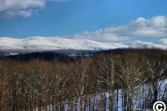 web_laurel_mtn_jan_2010_2_20100311_1459213712