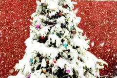 web_town_square_xmas_tree_2009_3_20100311_1174331734